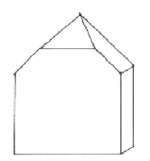 shape of back wall